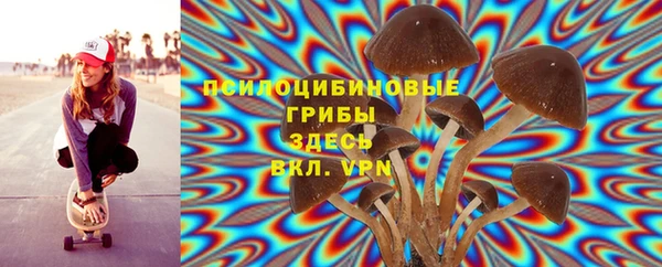 прущая мука Аркадак