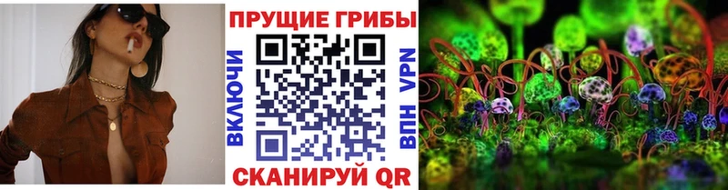 дарнет шоп  Печоры  Галлюциногенные грибы GOLDEN TEACHER 